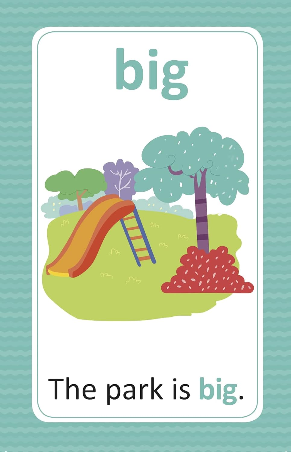 Flash Cards: My First Sight Words and Sentences