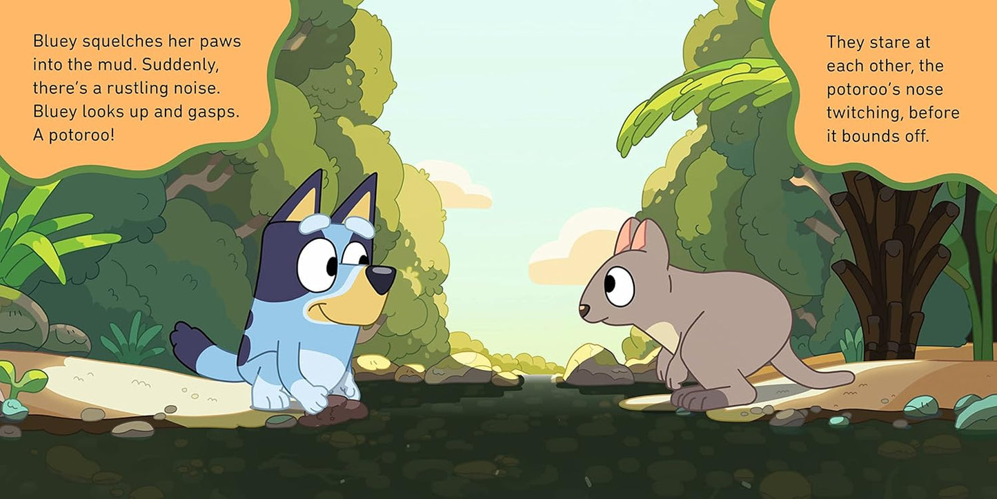 Bluey: The Creek