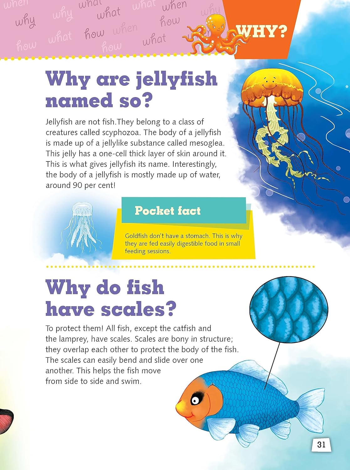My Encyclopedia of Animals. What? Why? How? When?