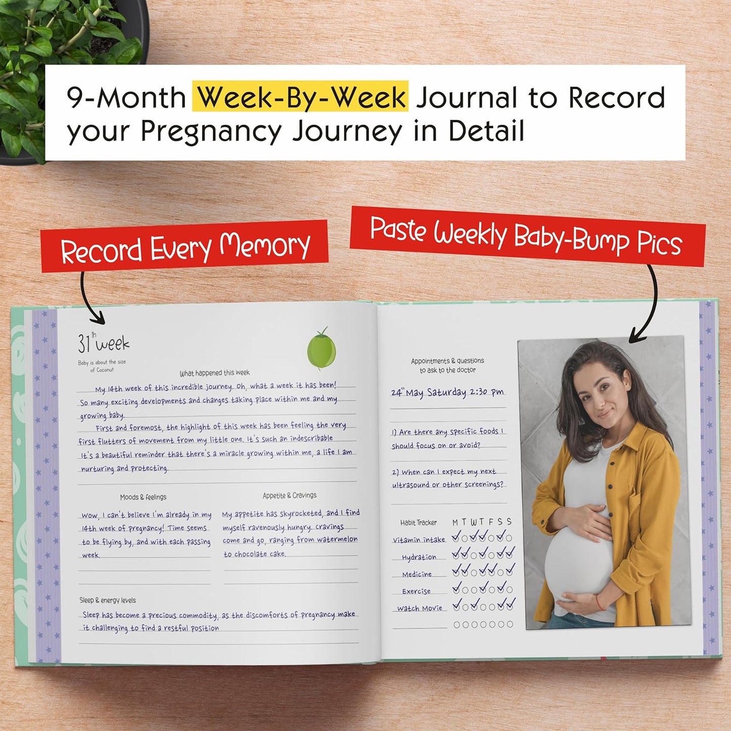 Little Miracle. A 9-Month Pregnancy Journal and Guide