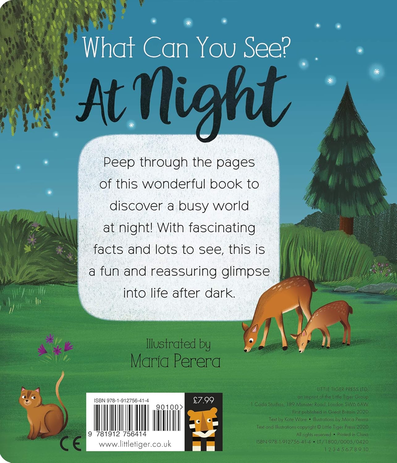 What Can You See At Night?