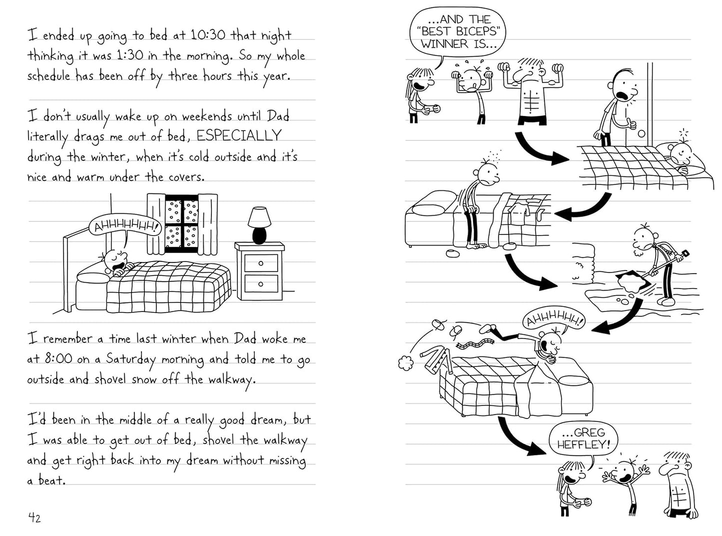 Diary of a Wimpy Kid: The Third Wheel (Book 7)