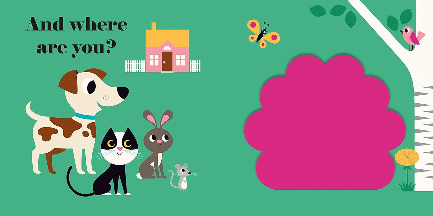 Where's Mr. Dog?
