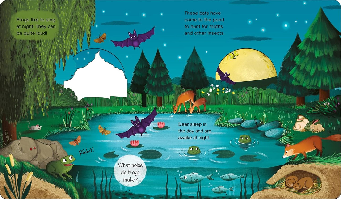 What Can You See At Night?