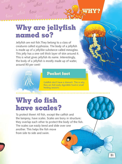 My Encyclopedia of Animals. What? Why? How? When?