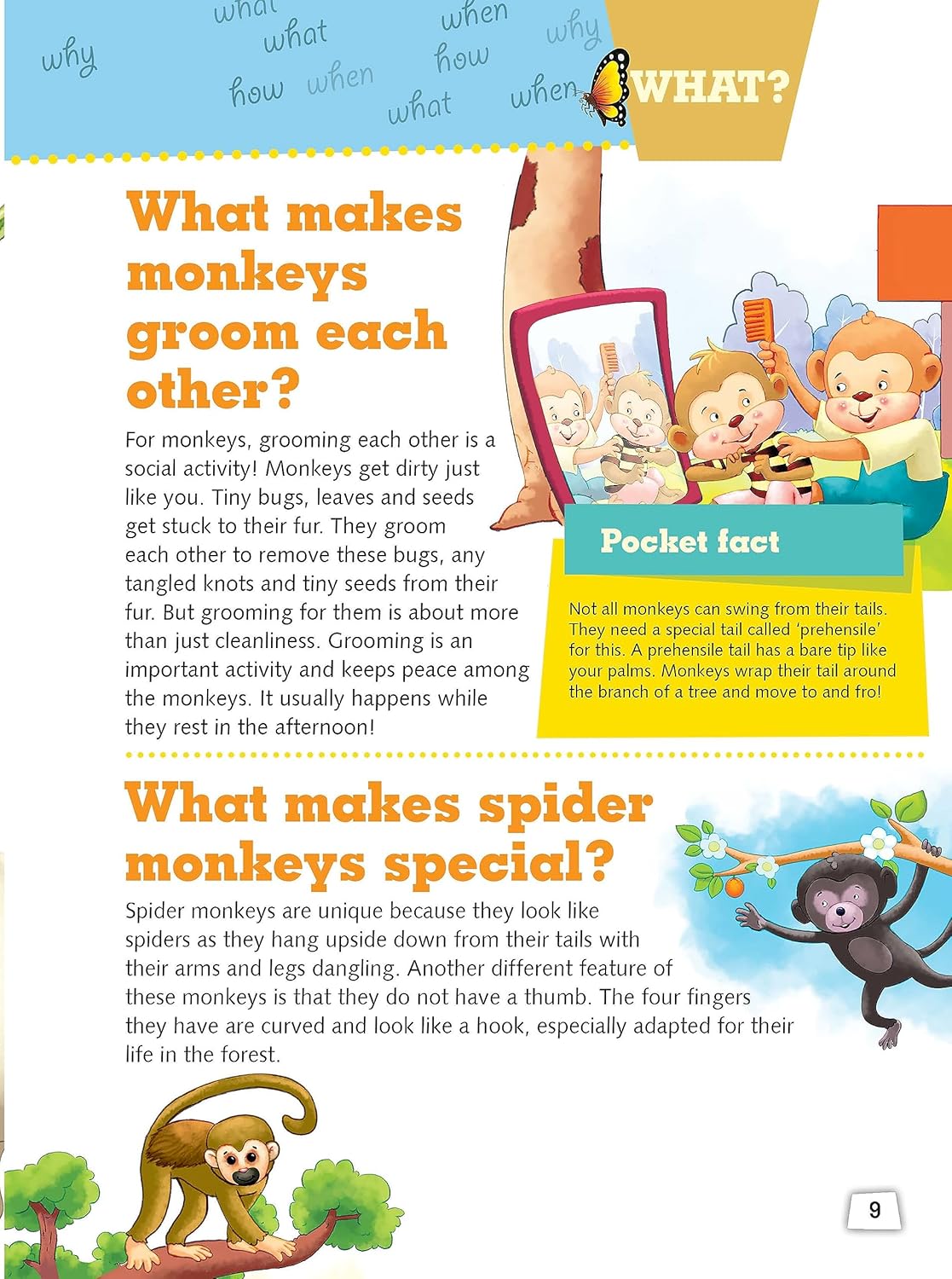 My Encyclopedia of Animals. What? Why? How? When?