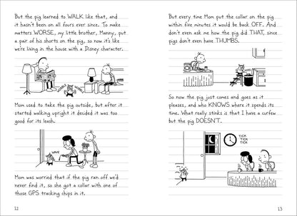 Diary of a Wimpy Kid: Old School (Book 10)